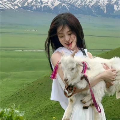 我把忠诚献给你